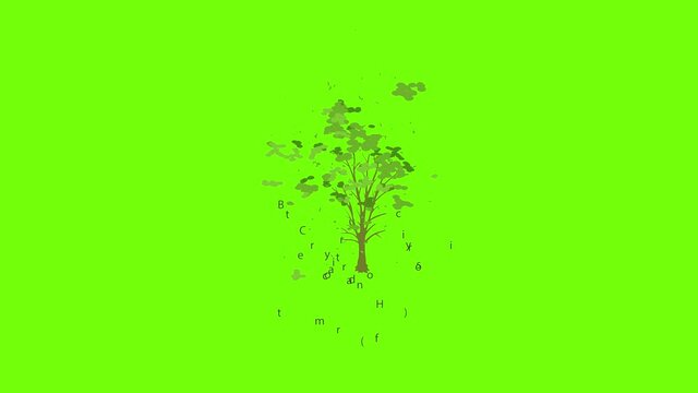Bitternut hickory icon animation cartoon object on green screen background