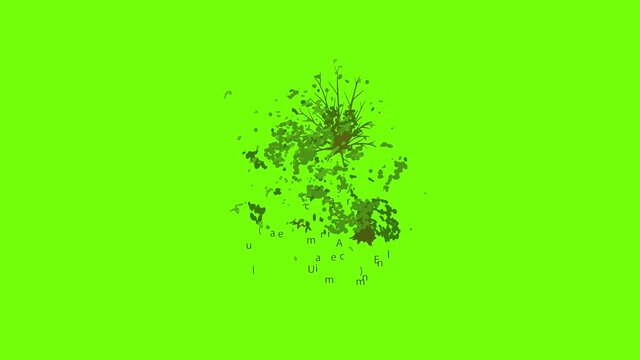 American elm icon animation cartoon object on green screen background
