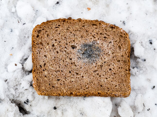 schimmeliges Brot