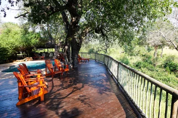 Fotobehang Sabi Sabi private game reserve pool and deck chairs at main lodge © Sunshine Seeds
