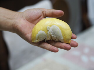Durian fruit with sharp bark Flesh in the sweet yellow color in hand
