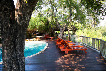 Sabi Sabi private game reserve pool and deck chairs at main lodge