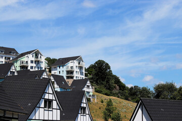 Timbered houses with trees in the background