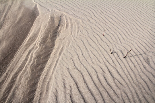 Desert sand dunes on the beach next to the ocean; color photo.