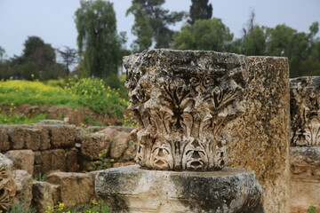 Ruins of the ancient Roman city of Jerash