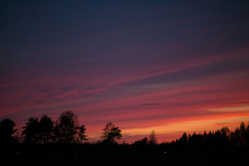 The sky after sunset over the forest. 