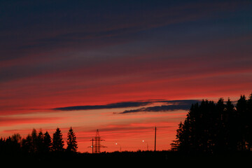 Fototapeta premium The sky after sunset over the forest. 
