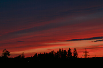 Naklejka premium The sky after sunset over the forest. 