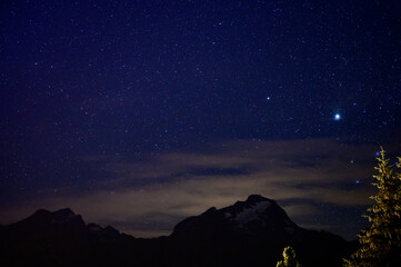 Fototapeta premium Evergreen fir tree with cones, peaks of French Alps mountains and starry sky at night on background