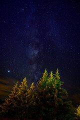 Evergreen fir tree with cones, peaks of French Alps mountains and starry sky at night on background