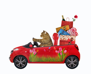 A beige cat drives a red car with boxes of gifts. White background. Isolated.