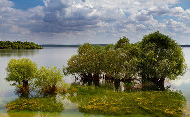 Fototapeta premium lac 