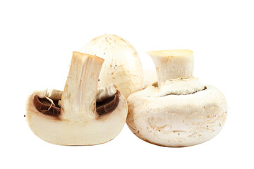 Fresh mushrooms champignons on white background.