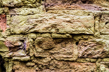 Green and old brick wall. Close up view