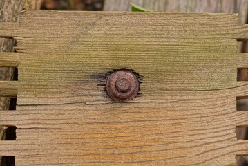 one brown iron rusty bolt with nut in wood plank