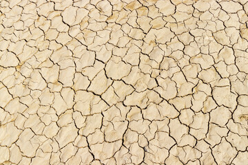 dry cracked earth