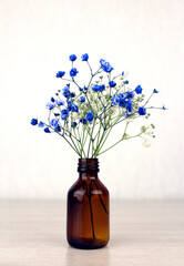 Brown glass bottle with gypsophila flowers