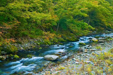 初秋の山を流れる川