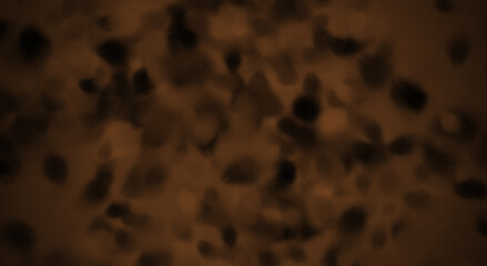 abstract orange brown gray colorful watercolor acrylic fractal grunge image illustration paint background bg texture wallpaper art frame sample board blank material