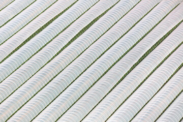 An aerial view taken from a helicopter of polythene growing tunnels in Britain. The plastic greenhouses are used to grow plants. A striped abstract pattern.