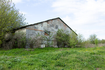 Obraz premium New buildings and old buildings grain storage hangars in the countryside of Ukraine