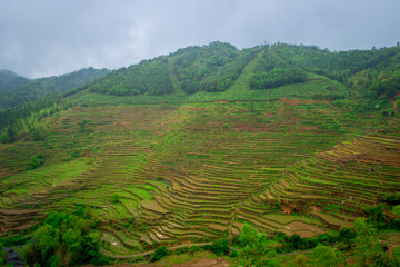 Farmland in the green valley.