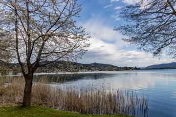 Obraz premium Lake Wörthersee in Carinthia, Austria in spring