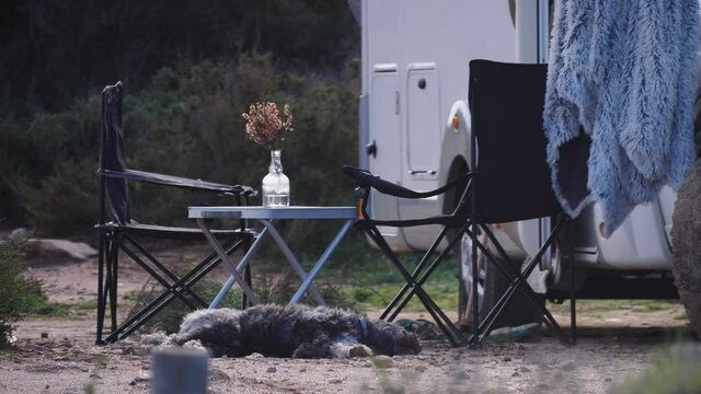 Dog lies by camper car. Motor home with table and chairs out for people to enjoy nature. Camping on nature. Caravan vacation. Traveling with pet.