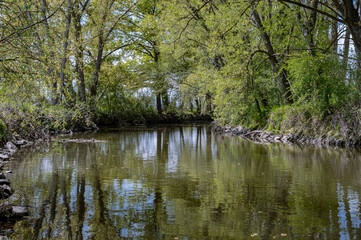 Fototapeta na wymiar The river Zorn in the spring, Alsace, France. The river Zorn is a small tributary of a large river, the Rhine. The new leaves color the bucolic landscape.