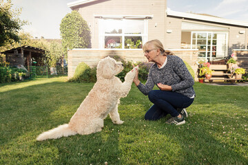 Mature woman doing high-five with dog in back yard