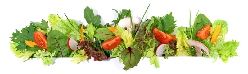 Foto auf Acrylglas Frisches Gemüse Gemischter Salat - Sommersalat Panorama