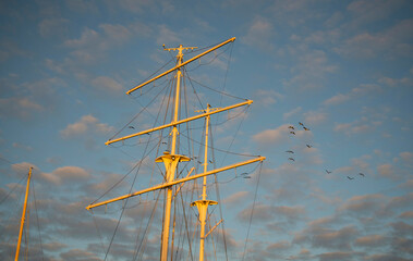 Fototapeta premium Yellow sailing boat masts and a blue sky with birds flying by 