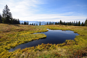 Blick vom Rossbrand auf das Dachsteingebirge