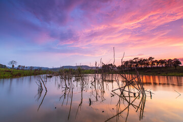 Fototapeta premium Colorful sunset in Thung Salaeng Luang national park, Phitsanulok province, Thailand.