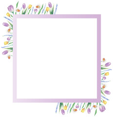 Aquarelle floral copy space frame with flowers around the square. Watercolor hand painted square greeting card for wedding, easter, birthday, holidays. Frame with purple tulips.