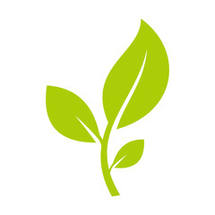 Green leaf icon vector illustration symbol