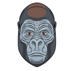Portrait of a head of a gorilla, primate. Wild animals. Vector stock illustration.