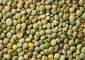 Background of green lentils. The view from top
