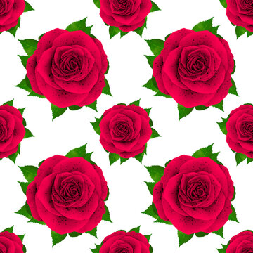 Beautiful pattern realistic Rose illustration design isolated on stylish background with 3D illustration images