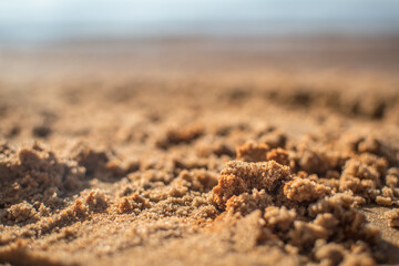 texture of a sandy soil