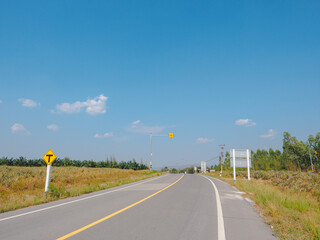 Rural road with tree and curve.