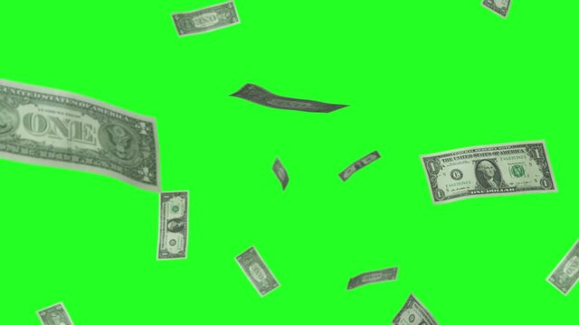 Dollar bills rain green screen