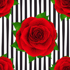 Beautiful pattern realistic Rose illustration design isolated on stylish background with 3D illustration images