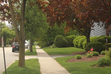 path in the park