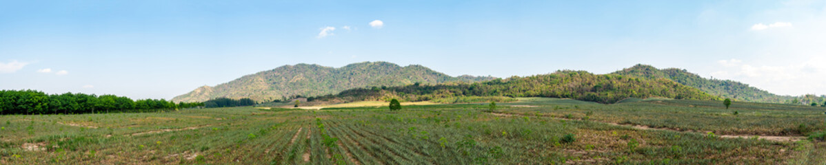 Fototapeta na wymiar Beautiful views of hills and farming in the Thai countryside on clear day.