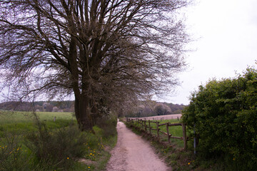 Path between Gelderland and Limburg