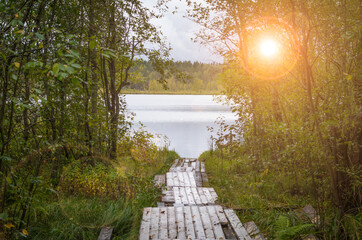 A beautiful peaceful scenery on a foot bridge leading to lake in the woods on sunset