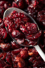 Healthy Organic Dried Cranberries