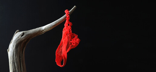 tanga rojo colgado de una rama seca lencería de mujer sobre fondo negro 4M0A0615-as21 - obrazy, fototapety, plakaty