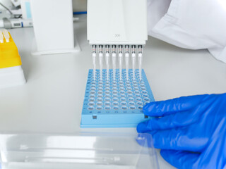 hands of scientist working with multichannel pipette and multi well plates. research technician...